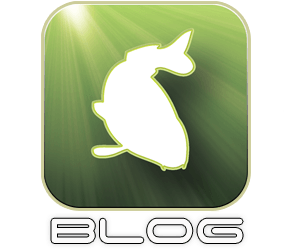 Vstop v blog